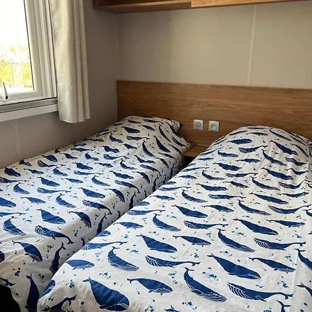 Mobil Neuf 6 P Climatise A A 200 M De La Dans 4 Etoiles Kamp alanı Hyères